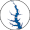 LakeConroe.com, LLC logo