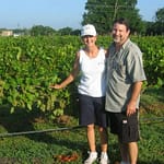 Bernhardt Winery vineyard