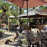 Cactus Lounge patio
