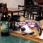 Copperhead Brewery dog