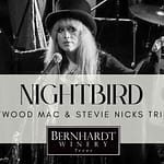 Nightbird | Fleetwood Mac & Stevie Nicks Tribute