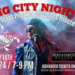 Big City Nights | Texas Premier Scorpions Tribute