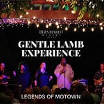 Gentle Lamb Experience