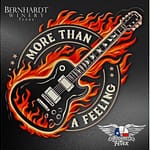 Boston & Aerosmith Tribute | More Than a Feeling & Aerosmith Fever