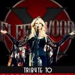 A Tribute to Fleetwood Mac
