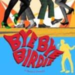 Bye Bye Birdie