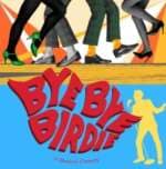 Bye Bye Birdie