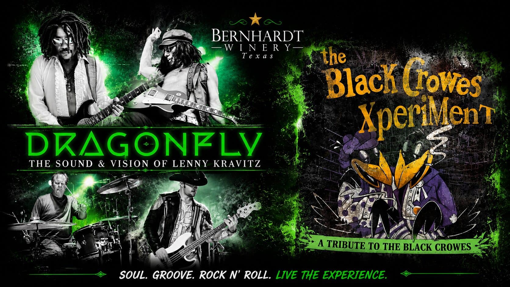 Lenny Kravitz & The Black Crowes Tribute Show