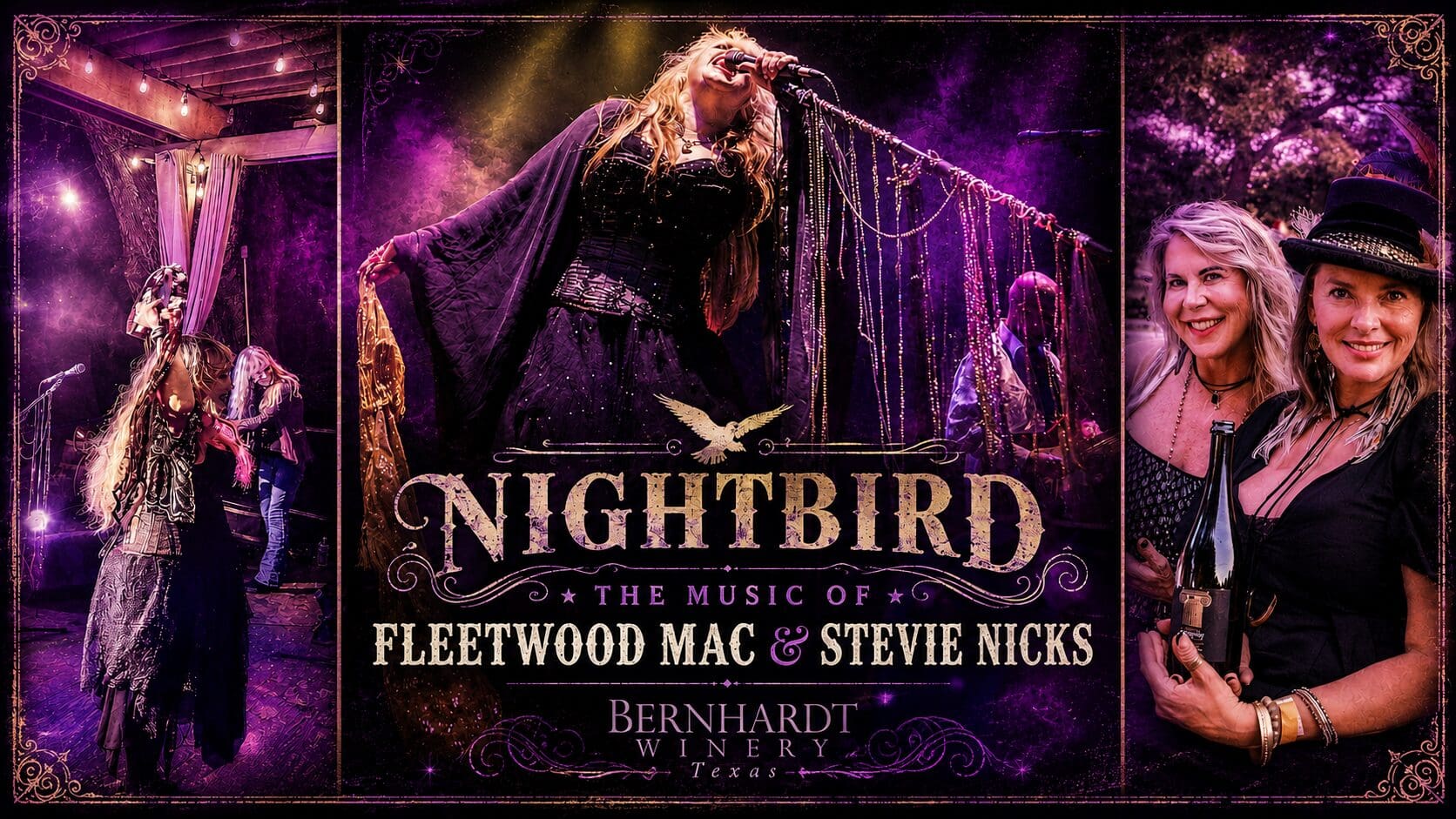 The Music of Fleetwood Mac & Stevie Nicks