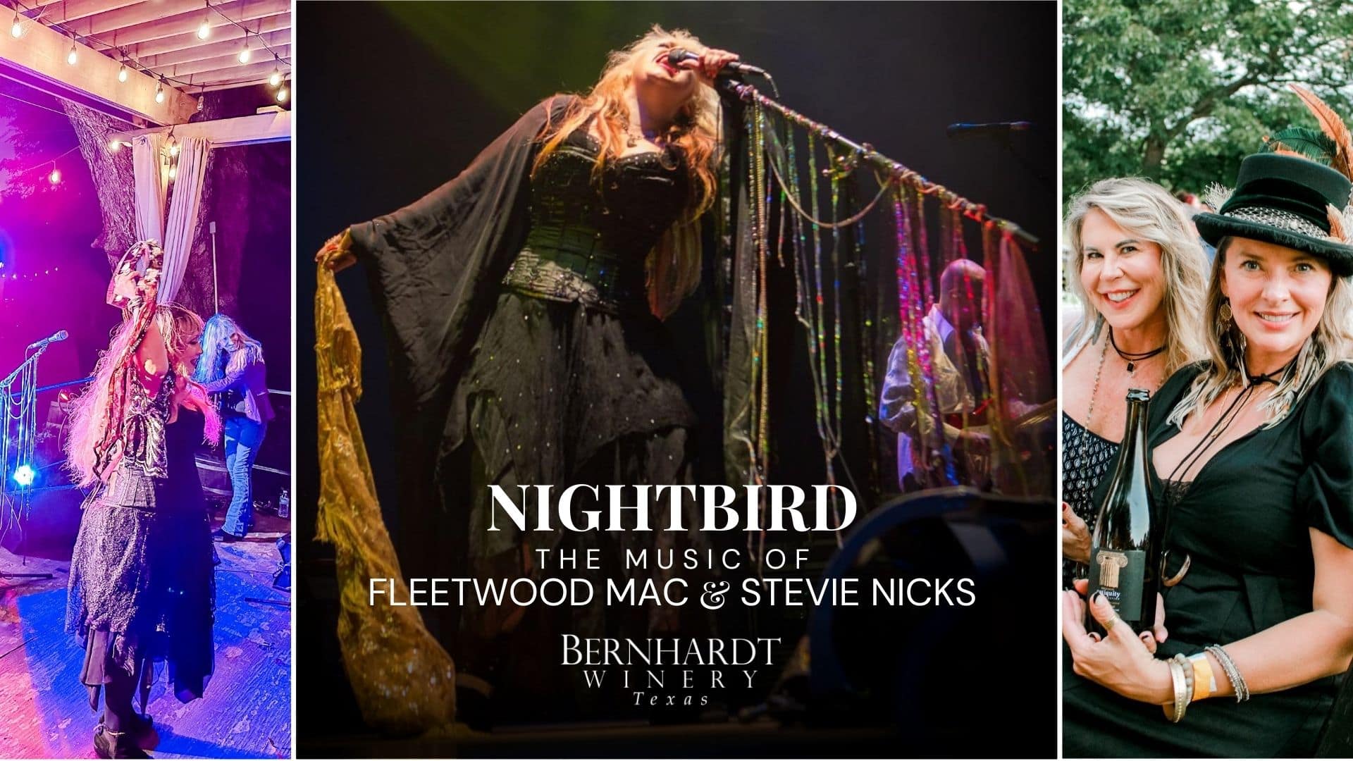 The Music of Fleetwood Mac & Stevie Nicks | Nightbird