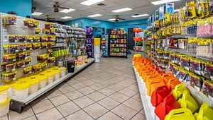 the store