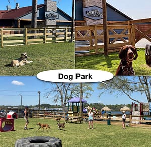 Conroe Lake House dog park