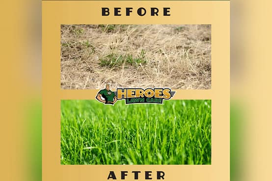 Before and after photos of a lawn done by Heroes Lawn Care of Bellaire