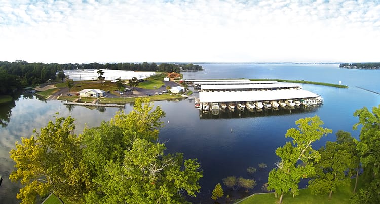 The Palms Marina from the air