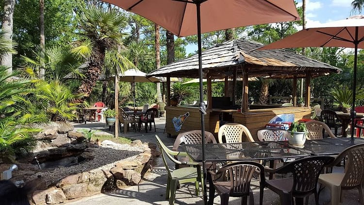 Cactus Lounge patio