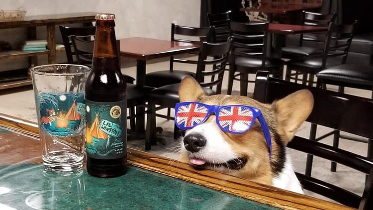 Copperhead Brewery dog