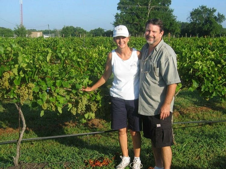 Bernhardt Winery vineyard