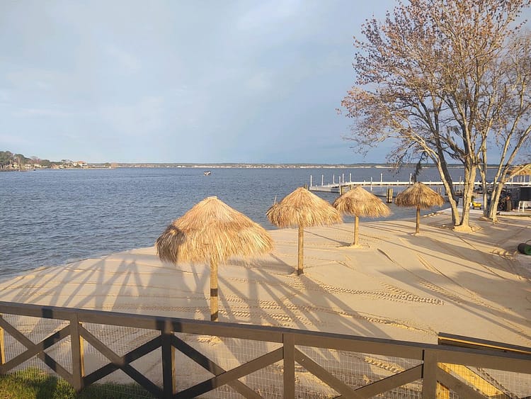 Conroe Lake House beach and lake view