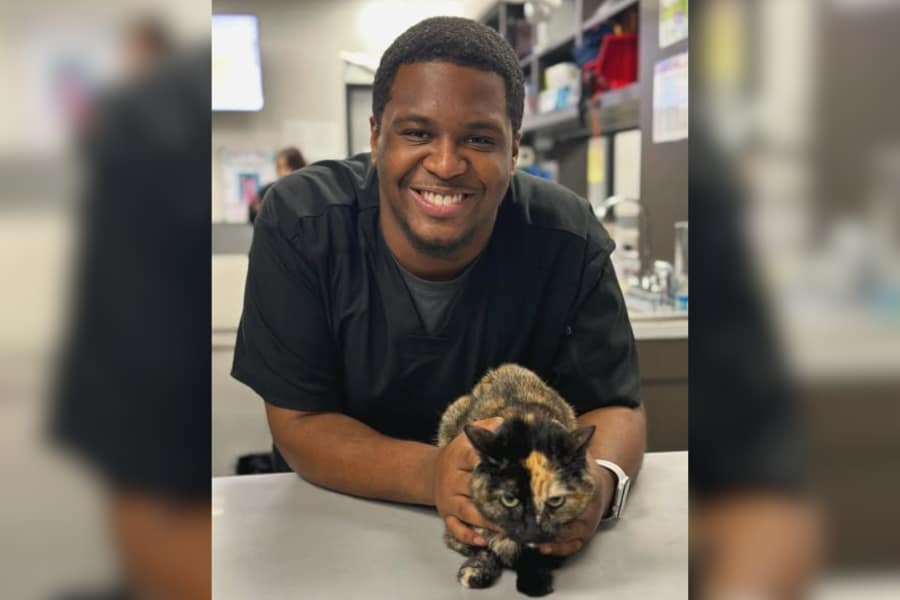 Vet holding cat