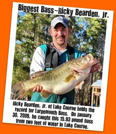 biggest lake conroe bass