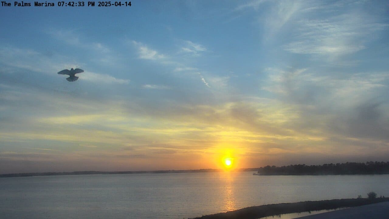 25-04-14_19-42-33-87.jpg Lake Conroe sunset photo