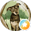 Kurt Hartung Avatar