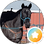 Vicki VHR Ranch Avatar
