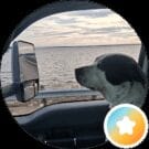 Tow Joe Avatar