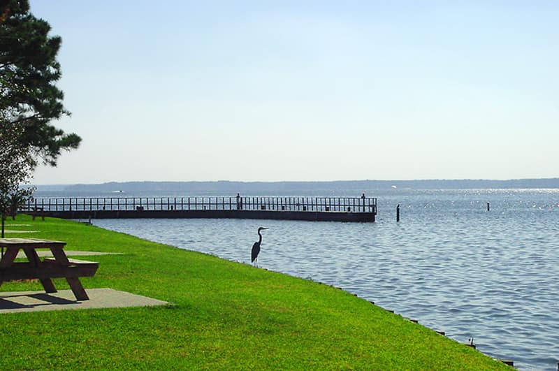 lake conroe